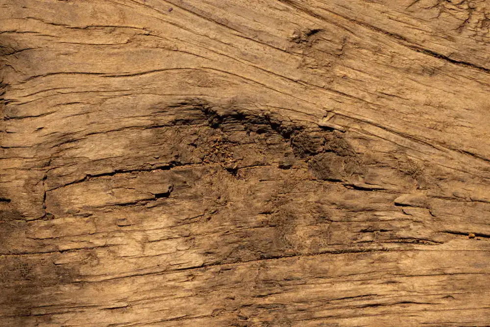 Close up of wood grain and joint